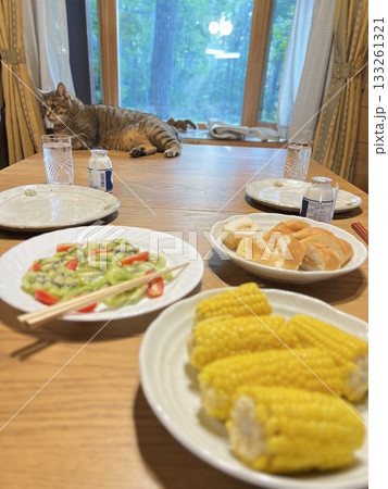 ログハウスでの　食事 133261321