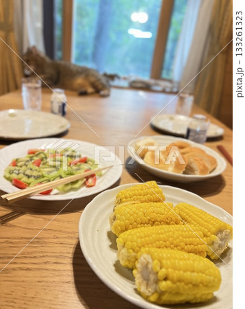 ログハウスでの　食事 133261323