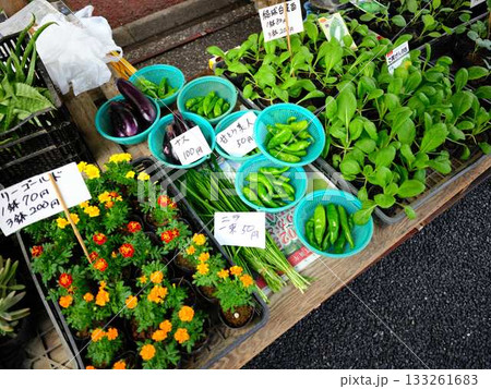 高知市の日曜市　ストリートマーケット　青空マーケット　野菜　果物 133261683