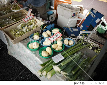 高知市の日曜市 ストリートマーケット 青空マーケット 野菜 果物 高知市の日曜市 ストリートマーケット 青空マーケット 野菜 果物 133261684