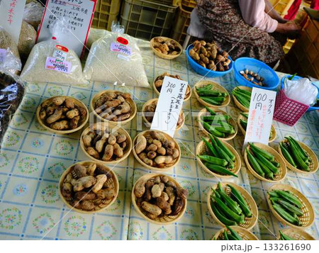 高知市の日曜市 ストリートマーケット 青空マーケット 野菜 果物 高知市の日曜市 ストリートマーケット 青空マーケット 野菜 果物 133261690