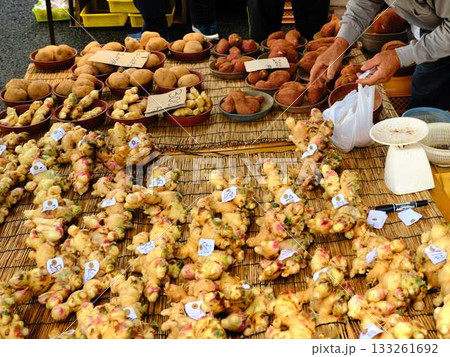 高知市の日曜市 ストリートマーケット 青空マーケット 野菜 果物 高知市の日曜市 ストリートマーケット 青空マーケット 野菜 果物 133261692