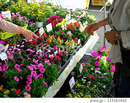 高知市の日曜市　ストリートマーケット　青空マーケット　野菜　果物 133261693