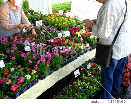 高知市の日曜市 ストリートマーケット 青空マーケット 野菜 果物 高知市の日曜市 ストリートマーケット 青空マーケット 野菜 果物 133261694