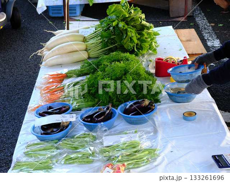 高知市の日曜市 ストリートマーケット 青空マーケット 野菜 果物 高知市の日曜市 ストリートマーケット 青空マーケット 野菜 果物 133261696