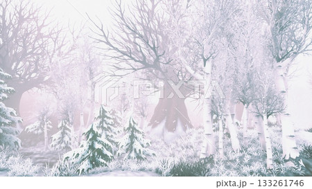 Snow covered trees stand tall in a mystical forest, where the air is crisp and fog blankets the ground. Nature remains silent as winter casts its serene spell on the landscape. 133261746