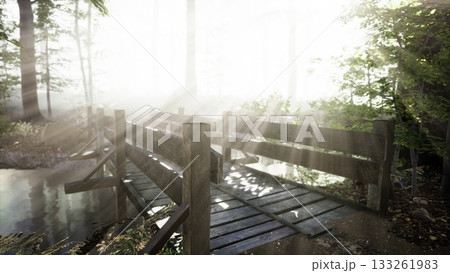 Mist gently blankets a serene forest as warm sunlight streams through towering trees. A quaint wooden bridge arches over a tranquil pond, inviting exploration in natures embrace. Mist gently blankets a serene forest as warm sunlight streams through towering trees. A quaint wooden bridge arches over a tranquil pond, inviting exploration in natures embrace. 133261983