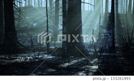 Amidst the stillness of dawn, soft light filters through towering trees in a misty forest. Shadows stretch across the damp ground, creating an otherworldly atmosphere filled with intrigue. 133261993