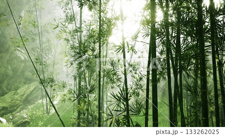 In a tranquil bamboo forest, vibrant green stalks reach toward the sky as sunlight breaks through the canopy. The gentle rustle of leaves enhances the peaceful ambiance of nature. 133262025