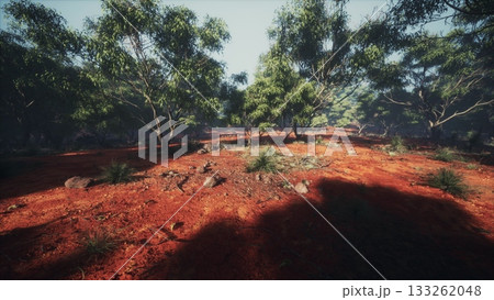 Lush greenery surrounds vibrant red earth, creating a serene and inviting landscape. The soft shadows of trees add depth to this tranquil scene in a sunlit forest setting. 133262048