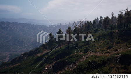 Majestic hills stretch across the horizon, cloaked in lush greenery. Tall trees reach skyward, and a tranquil sky filters soft sunlight over the peaceful scene. 133262116