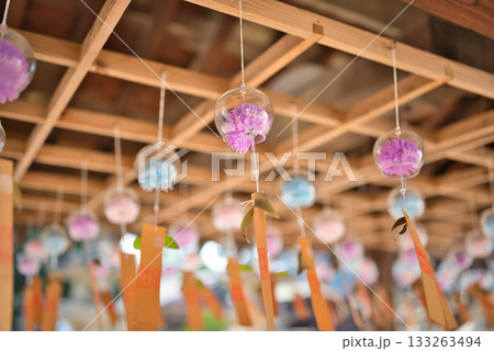 東かがわ市の白鳥神社 東かがわ市の白鳥神社 133263494