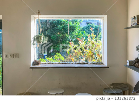 A bright cafe with a window overlooking vibrant green plants and a cozy interior	 133263872