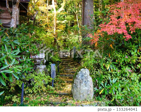 《高知県》紅葉 《高知県》紅葉 133264041