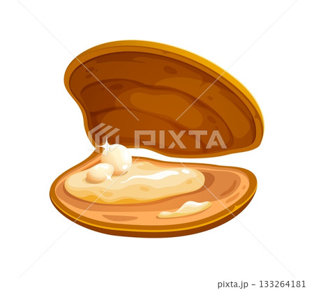 Cartoon marine pearl shell or oyster clam. Ocean nature precious scallop isolated vector mollusk, underwater life jewelry oyster clam. Marine valuable seashell or sea bottom rare pearl shell 133264181