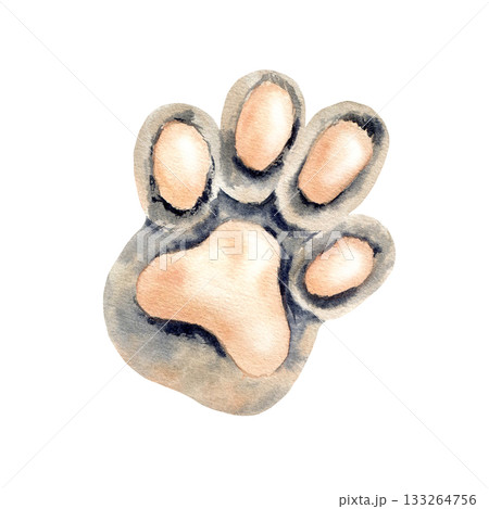 Cat's paw. Cute grey paw with beige pads of pet. Watercolor Sphynx cat footprint. Kitty meow style. Hand drawn Isolated illustration of domestic animal. For patterns, logo design, sticker, stationery Cat's paw. Cute grey paw with beige pads of pet. Watercolor Sphynx cat footprint. Kitty meow style. Hand drawn Isolated illustration of domestic animal. For patterns, logo design, sticker, stationery 133264756