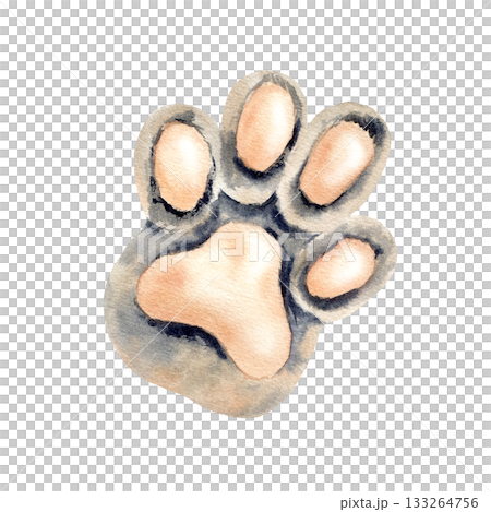 Cat's paw. Cute grey paw with beige pads of pet. Watercolor Sphynx cat footprint. Kitty meow style. Hand drawn Isolated illustration of domestic animal. For patterns, logo design, sticker, stationery Cat's paw. Cute grey paw with beige pads of pet. Watercolor Sphynx cat footprint. Kitty meow style. Hand drawn Isolated illustration of domestic animal. For patterns, logo design, sticker, stationery 133264756