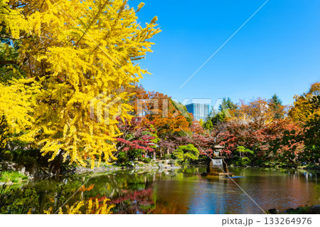 日比谷公園・雲形池と鶴の噴水を彩る紅葉の風景（東京都千代田区） 133264976