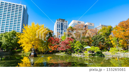 日比谷公園・紅葉の雲形池と高層ビル群の風景（東京都千代田区） 133265081