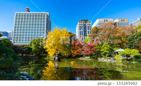 日比谷公園・紅葉の雲形池と高層ビル群の風景（東京都千代田区） 133265082
