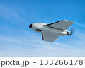 Russian drone known as Gerbera 133266178