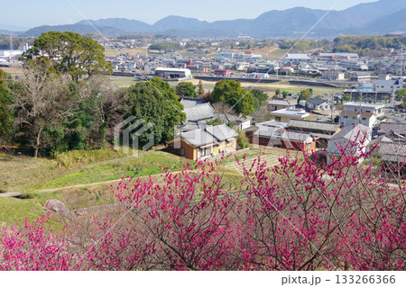 兵庫県南あわじ市 広田梅林ふれあい公園からの眺望 兵庫県南あわじ市 広田梅林ふれあい公園からの眺望 133266366