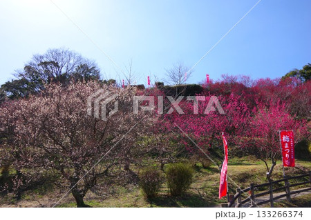 兵庫県南あわじ市　広田梅林ふれあい公園 133266374