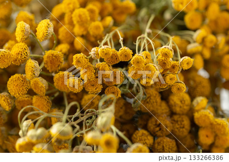 Dried tansy flowers macro close-up in natural light 133266386