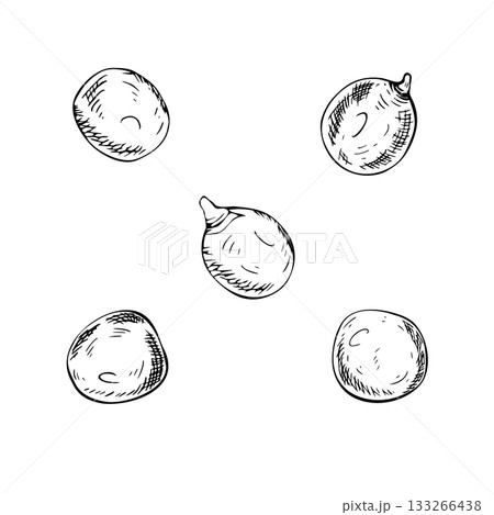 A set of green pea seeds. The detailed hand drawn black and white vector illustrations. Sketch of vegetable in line art style. Perfect for food packages labels clip art. A set of green pea seeds. The detailed hand drawn black and white vector illustrations. Sketch of vegetable in line art style. Perfect for food packages labels clip art. 133266438