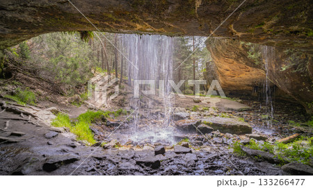 Cueva Serena Fall Cave, Spain 133266477