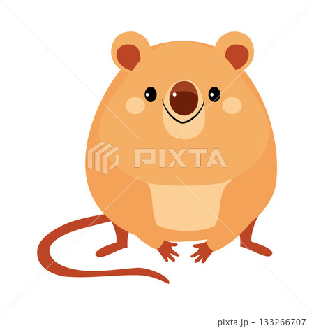 Cute Quokka Animal with Pretty Snout and Tail Vector Illustration 133266707