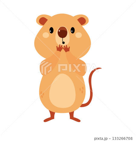 Cute Quokka Animal with Pretty Snout and Tail Vector Illustration Cute Quokka Animal with Pretty Snout and Tail Vector Illustration 133266708