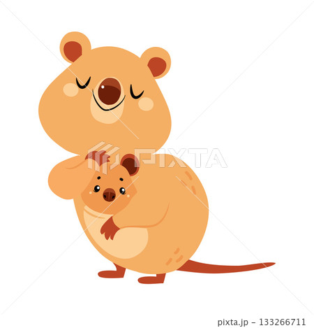 Cute Quokka Animal with Pretty Snout and Tail Vector Illustration 133266711