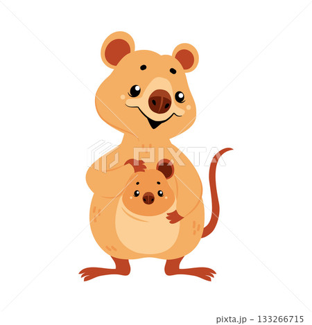Cute Quokka Animal with Pretty Snout and Tail Vector Illustration 133266715