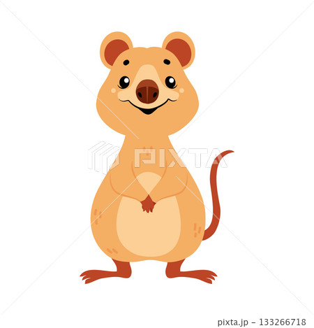 Cute Quokka Animal with Pretty Snout and Tail Vector Illustration 133266718