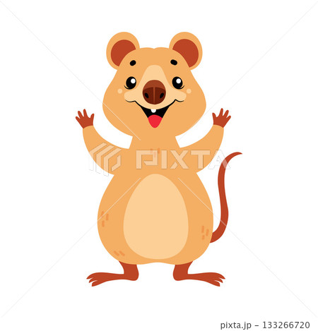 Cute Quokka Animal with Pretty Snout and Tail Vector Illustration 133266720