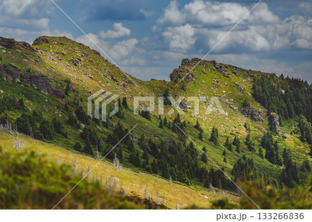 Summer Mountain Landscape in Stara Planina Summer Mountain Landscape in Stara Planina 133266836