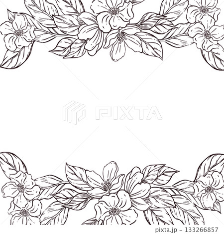 Vector frame of apple and plum blossoms, leaves, all objects hand-drawn with ink and converted into vector. The illustration is perfect for printing on food packaging, cosmetics and kitchen textiles. 133266857