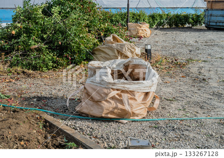 解体工事現場の樹木伐採 133267128