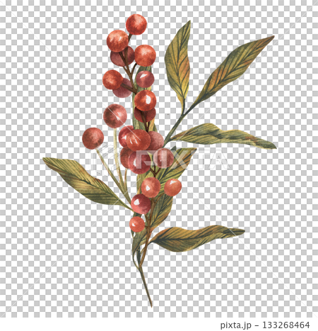 Hand drawn botanical berries branch. watercolor leaves and red berries. Vintage watercolor style with soft earthy green and red palette. Wallpaper, textile, packaging, branding card, design, arts Hand drawn botanical berries branch. watercolor leaves and red berries. Vintage watercolor style with soft earthy green and red palette. Wallpaper, textile, packaging, branding card, design, arts 133268464