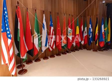 flags of different states 133268921