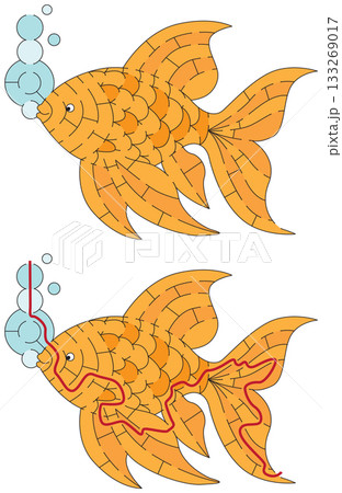 Goldfish Maze Goldfish Maze 133269017