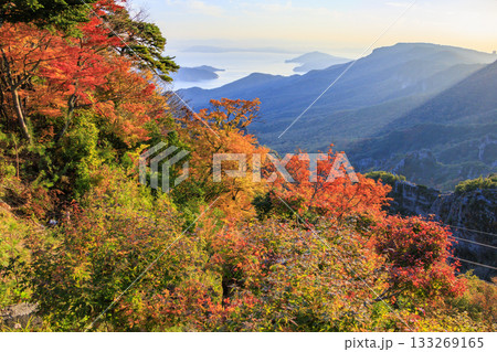 小豆島 寒霞渓 紅葉 小豆島 寒霞渓 紅葉 133269165