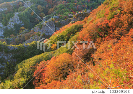 小豆島 寒霞渓 紅葉 小豆島 寒霞渓 紅葉 133269168