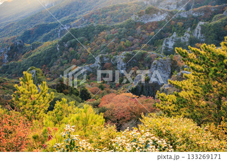 小豆島 寒霞渓 紅葉 小豆島 寒霞渓 紅葉 133269171