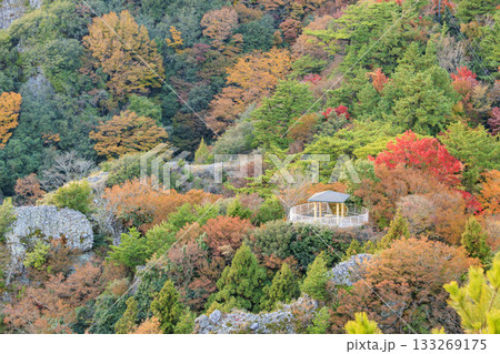 小豆島 寒霞渓 紅葉 小豆島 寒霞渓 紅葉 133269175