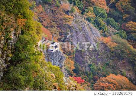 小豆島 寒霞渓 紅葉 小豆島 寒霞渓 紅葉 133269179