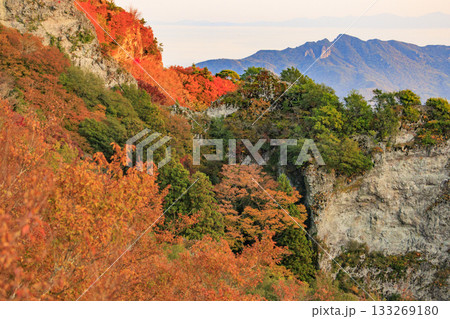 小豆島 寒霞渓 紅葉 小豆島 寒霞渓 紅葉 133269180