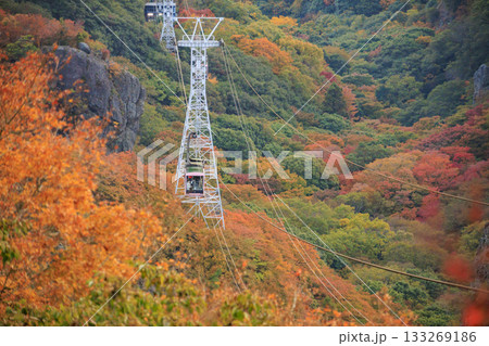 小豆島　寒霞渓　紅葉 133269186