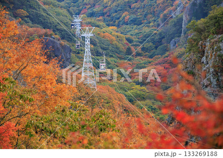 小豆島　寒霞渓　紅葉 133269188